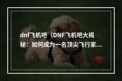 dnf飞机吧（DNF飞机吧大揭秘：如何成为一名顶尖飞行家）