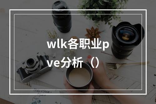 wlk各职业pve分析（）