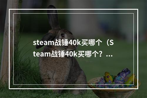 steam战锤40k买哪个（Steam战锤40k买哪个？Steam上刚刚上线数款战锤40k游戏，你该买哪一个呢？）