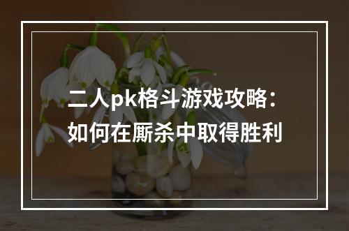 二人pk格斗游戏攻略：如何在厮杀中取得胜利