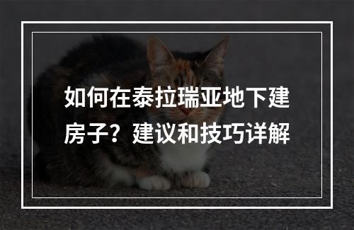 如何在泰拉瑞亚地下建房子？建议和技巧详解