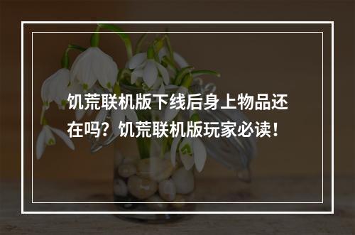 饥荒联机版下线后身上物品还在吗？饥荒联机版玩家必读！