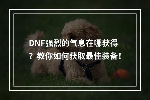 DNF强烈的气息在哪获得？教你如何获取最佳装备！