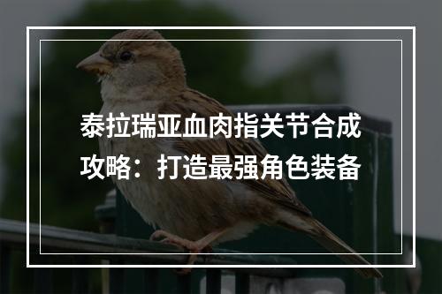 泰拉瑞亚血肉指关节合成攻略：打造最强角色装备