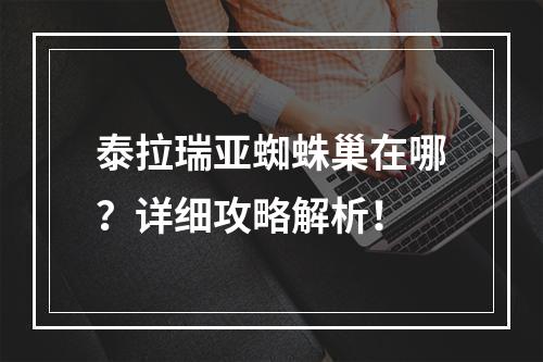 泰拉瑞亚蜘蛛巢在哪？详细攻略解析！