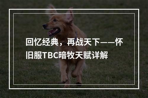 回忆经典，再战天下——怀旧服TBC暗牧天赋详解