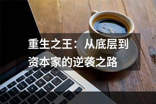 重生之王：从底层到资本家的逆袭之路