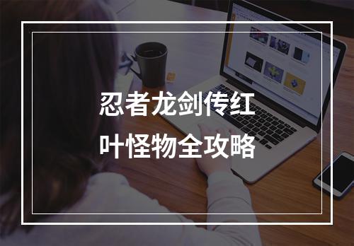 忍者龙剑传红叶怪物全攻略