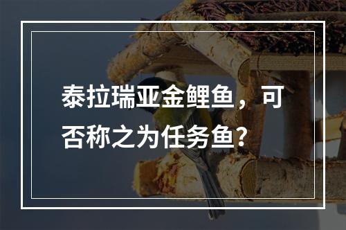 泰拉瑞亚金鲤鱼，可否称之为任务鱼？