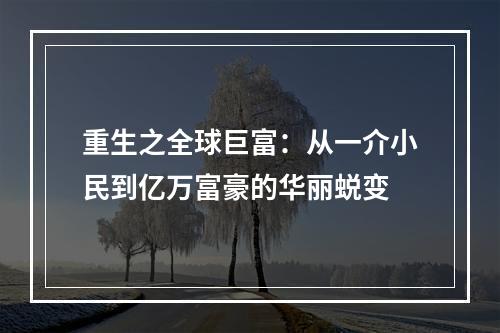 重生之全球巨富：从一介小民到亿万富豪的华丽蜕变