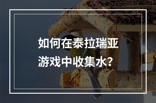 如何在泰拉瑞亚游戏中收集水？