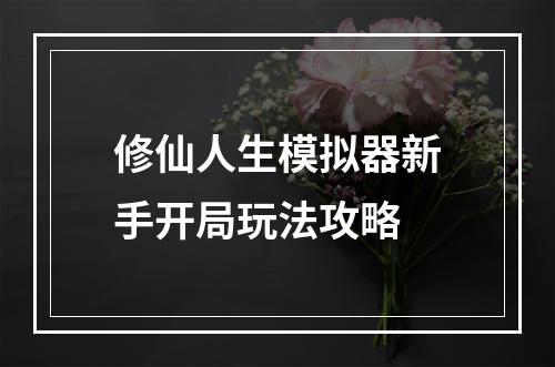 修仙人生模拟器新手开局玩法攻略