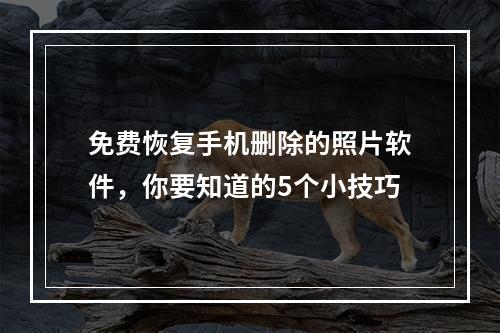 免费恢复手机删除的照片软件，你要知道的5个小技巧