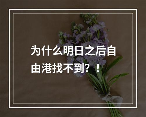 为什么明日之后自由港找不到？！