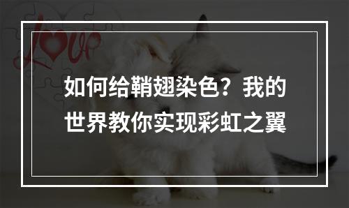 如何给鞘翅染色？我的世界教你实现彩虹之翼