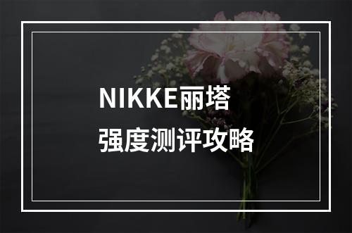 NIKKE丽塔强度测评攻略