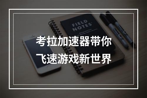 考拉加速器带你飞速游戏新世界