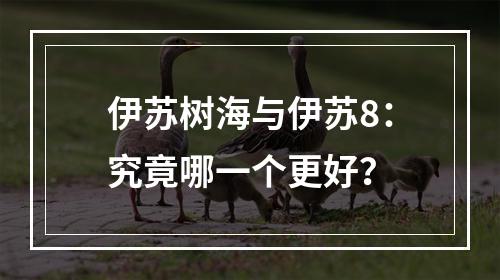 伊苏树海与伊苏8：究竟哪一个更好？