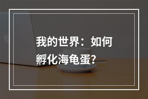 我的世界：如何孵化海龟蛋？