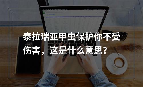 泰拉瑞亚甲虫保护你不受伤害，这是什么意思？