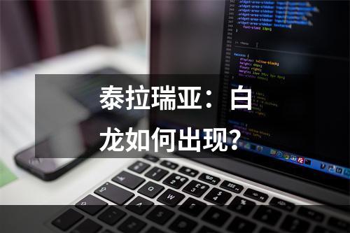 泰拉瑞亚：白龙如何出现？