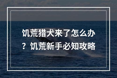 饥荒猎犬来了怎么办？饥荒新手必知攻略