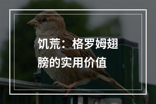 饥荒：格罗姆翅膀的实用价值