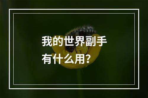 我的世界副手有什么用？