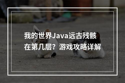 我的世界Java远古残骸在第几层？游戏攻略详解