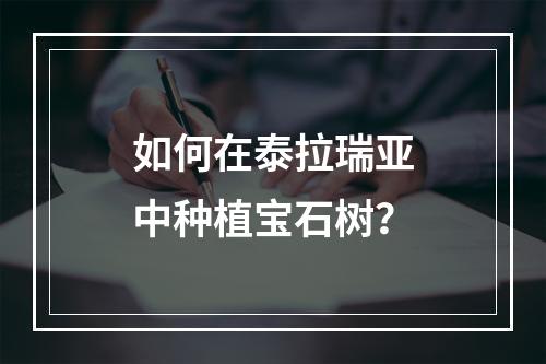 如何在泰拉瑞亚中种植宝石树？