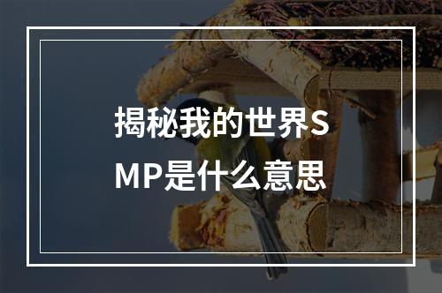 揭秘我的世界SMP是什么意思