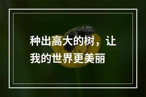 种出高大的树，让我的世界更美丽