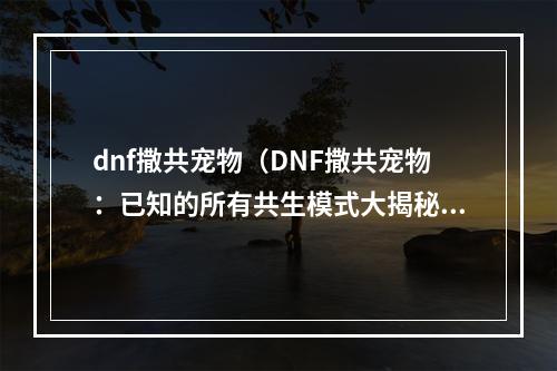 dnf撒共宠物（DNF撒共宠物：已知的所有共生模式大揭秘）