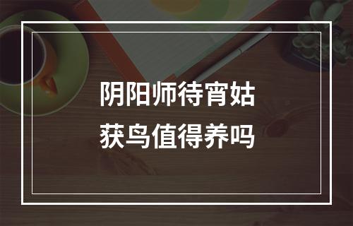 阴阳师待宵姑获鸟值得养吗