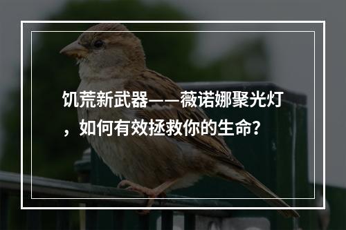 饥荒新武器——薇诺娜聚光灯，如何有效拯救你的生命？