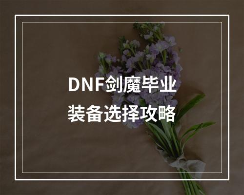 DNF剑魔毕业装备选择攻略