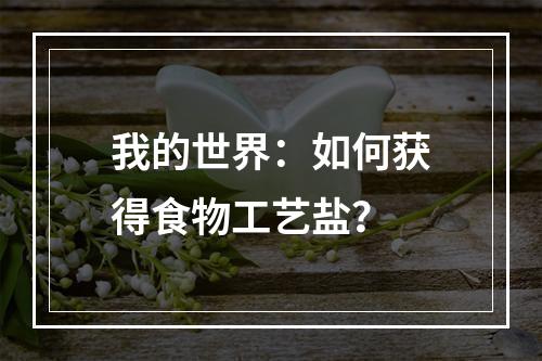 我的世界：如何获得食物工艺盐？