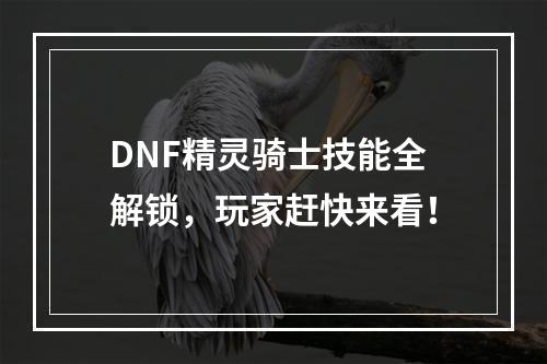 DNF精灵骑士技能全解锁，玩家赶快来看！