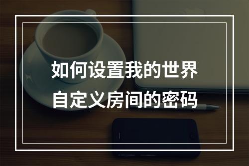 如何设置我的世界自定义房间的密码