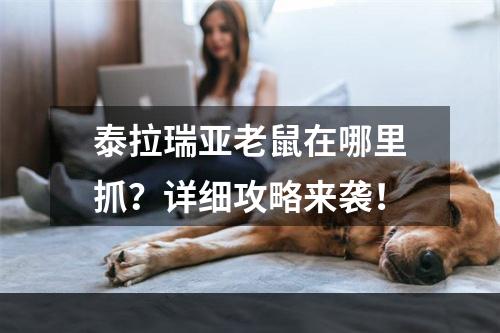 泰拉瑞亚老鼠在哪里抓？详细攻略来袭！