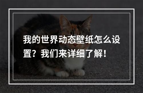 我的世界动态壁纸怎么设置？我们来详细了解！