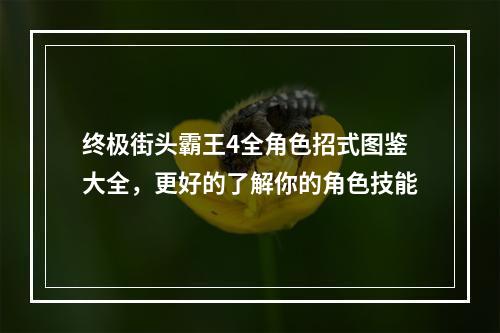 终极街头霸王4全角色招式图鉴大全，更好的了解你的角色技能