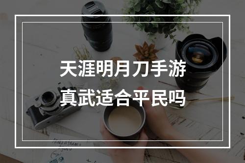 天涯明月刀手游真武适合平民吗