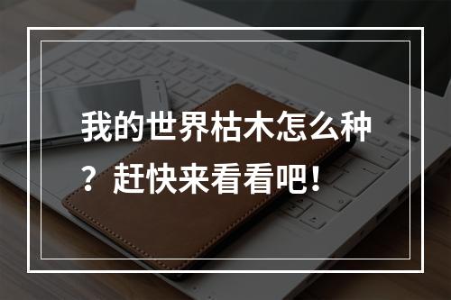 我的世界枯木怎么种？赶快来看看吧！