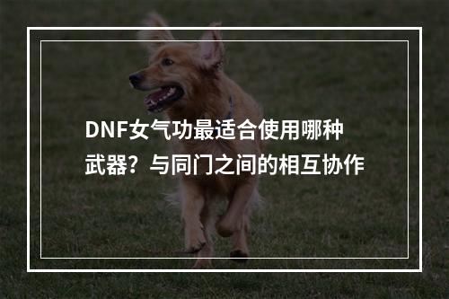 DNF女气功最适合使用哪种武器？与同门之间的相互协作