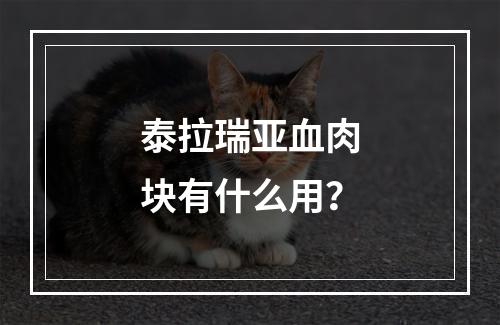 泰拉瑞亚血肉块有什么用？