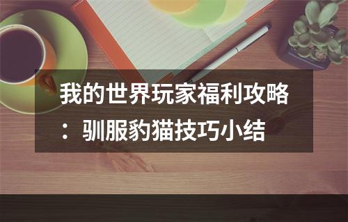 我的世界玩家福利攻略：驯服豹猫技巧小结