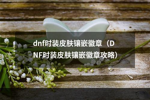 dnf时装皮肤镶嵌徽章（DNF时装皮肤镶嵌徽章攻略）