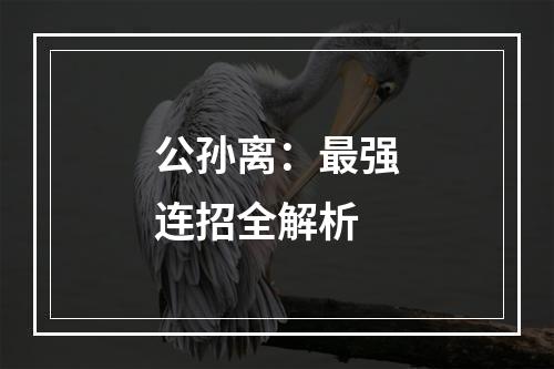 公孙离：最强连招全解析