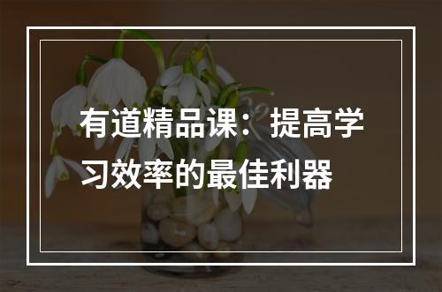 有道精品课：提高学习效率的最佳利器